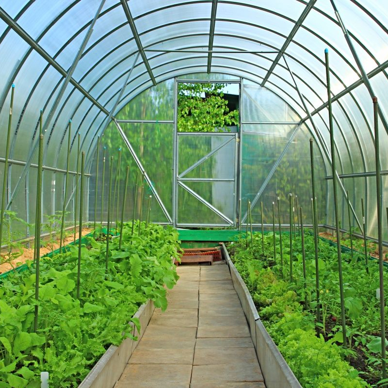 GAREN-LAMINA-POLICARBONATO-AMBIENTE-1.jpg