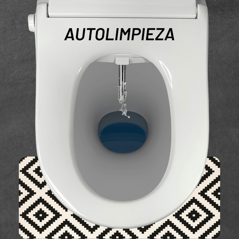 NUUR-BIDEAUTO_6.png